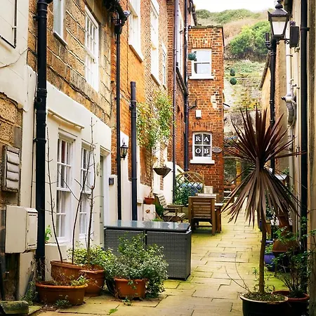 Glasswing The Nest * Γουίτμπι