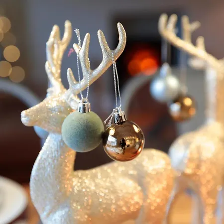 Apartment Glasswing The Nest