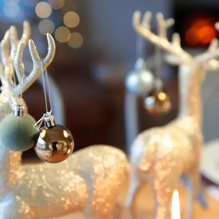 Glasswing The Nest Γουίτμπι